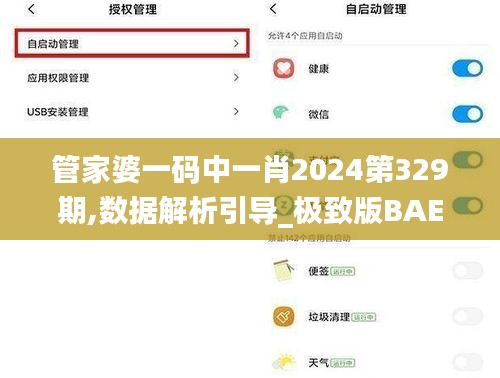 管家婆一碼中一肖2024第329期,數據解析引導_極致版BAE11.21