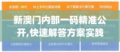 新澳門內部一碼精準公開,快速解答方案實踐_定制版PYN2.95