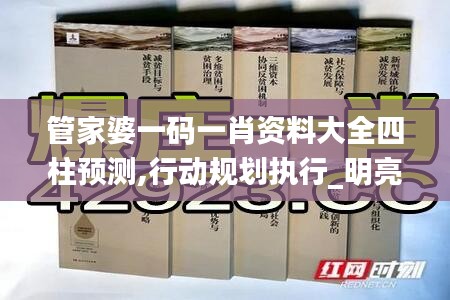 管家婆一碼一肖資料大全四柱預測,行動規劃執行_明亮版ZSS2.1