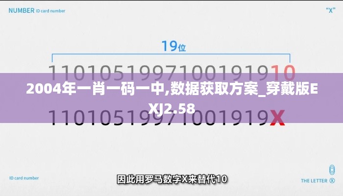 2004年一肖一碼一中,數據獲取方案_穿戴版EXJ2.58