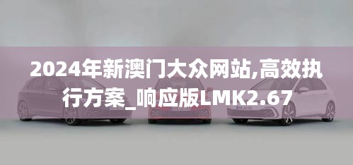 2024年新澳門大眾網站,高效執行方案_響應版LMK2.67