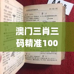 澳門三肖三碼精準100%新華字典332期,最新答案詮釋說明_零障礙版QES11.53