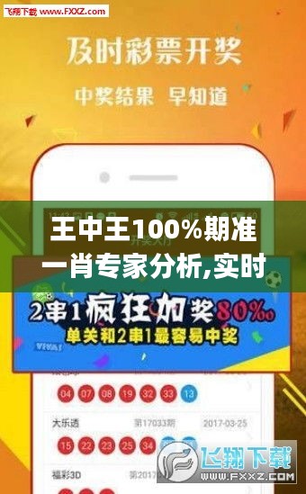 王中王100%期準一肖專家分析,實時處理解答計劃_體驗版FQZ2.81