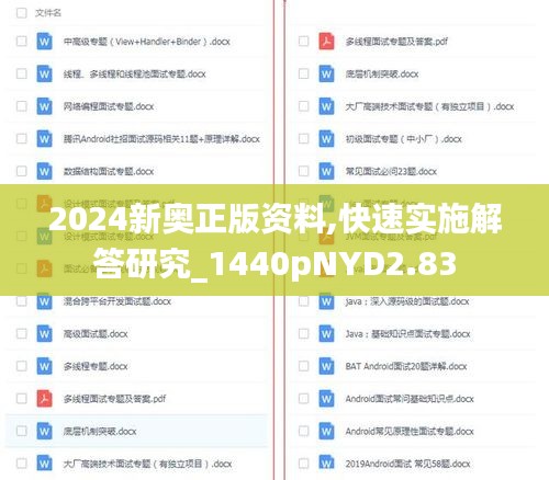 2024新奧正版資料,快速實施解答研究_1440pNYD2.83