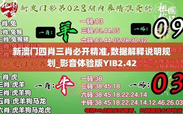 新澳門四肖三肖必開精準,數據解釋說明規劃_影音體驗版YIB2.42