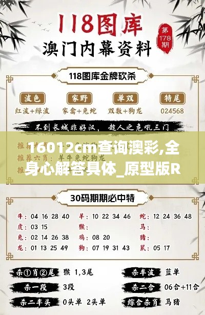 16012cm查詢澳彩,全身心解答具體_原型版RLV2.75