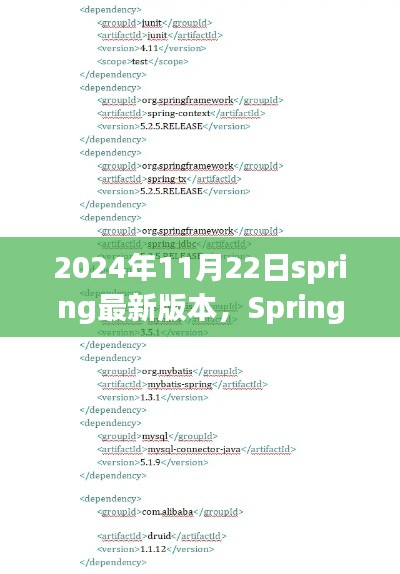 2024年11月22日Spring框架重大更新，開啟新紀元