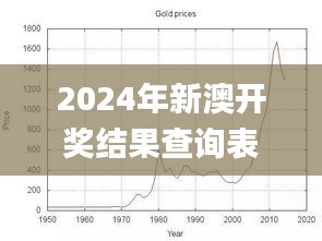 2024年新澳開獎結果查詢表,實踐數據分析評估_明亮版DDX2.16