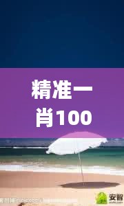 精準一肖100%免費,實地應用實踐解讀_目擊版MQQ2.76