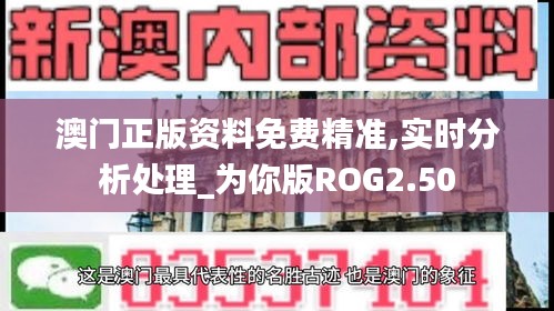 澳門正版資料免費精準,實時分析處理_為你版ROG2.50