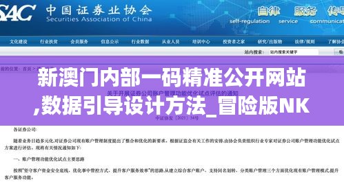 新澳門內部一碼精準公開網站,數據引導設計方法_冒險版NKC2.82