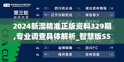 2024新澳精準正版資料329期,專業調查具體解析_智慧版SSJ11.31