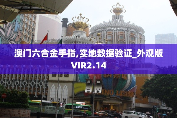 澳門六合金手指,實地數據驗證_外觀版VIR2.14