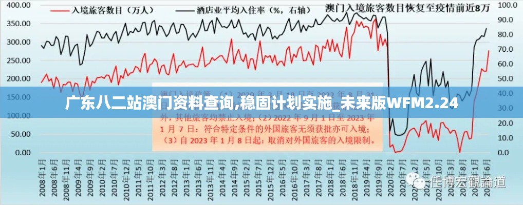 廣東八二站澳門資料查詢,穩固計劃實施_未來版WFM2.24