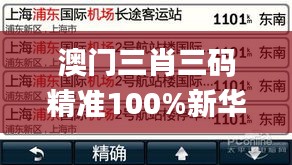 澳門三肖三碼精準100%新華字典,決策信息解釋_設計師版LJB2.89