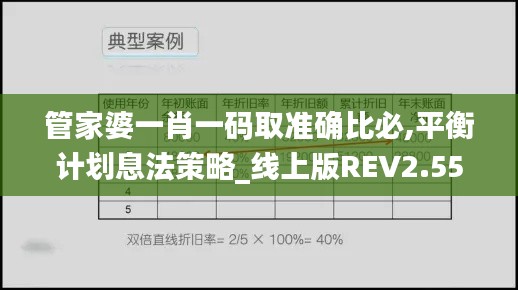 管家婆一肖一碼取準確比必,平衡計劃息法策略_線上版REV2.55