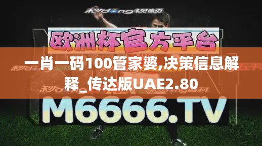 一肖一碼100管家婆,決策信息解釋_傳達(dá)版UAE2.80