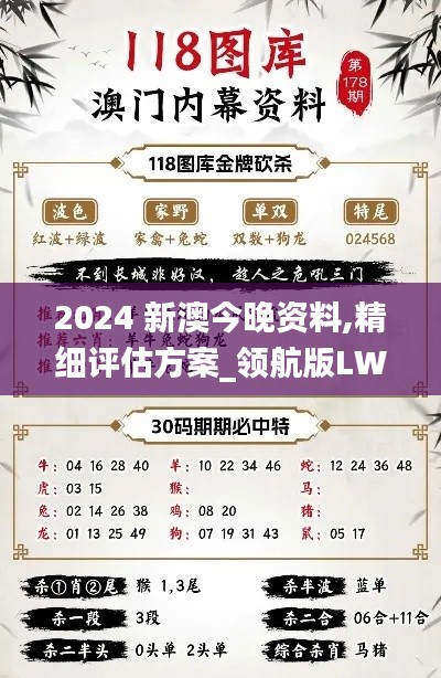 2024 新澳今晚資料,精細評估方案_領航版LWU2.36