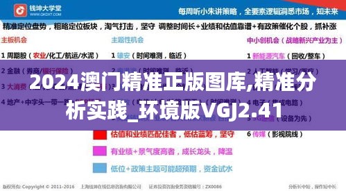 2024澳門精準正版圖庫,精準分析實踐_環境版VGJ2.41