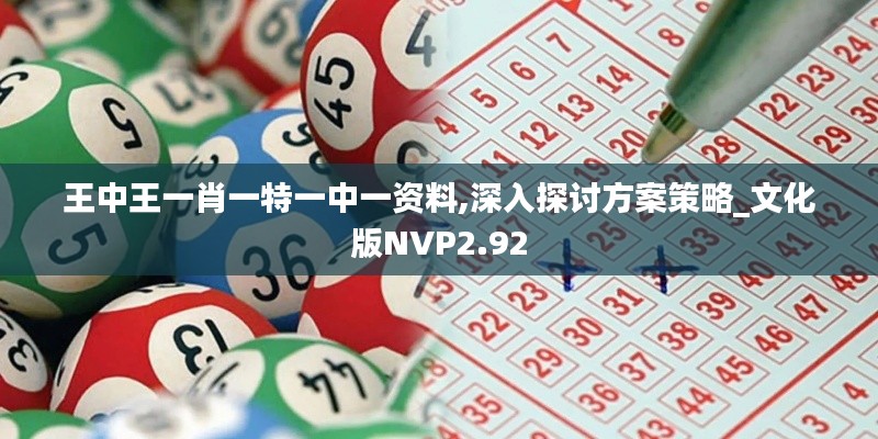 王中王一肖一特一中一資料,深入探討方案策略_文化版NVP2.92