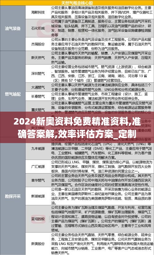 2024新奧資料免費精準資料,準確答案解,效率評估方案_定制版BHP2.78