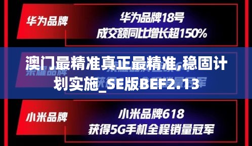 澳門最精準真正最精準,穩固計劃實施_SE版BEF2.13