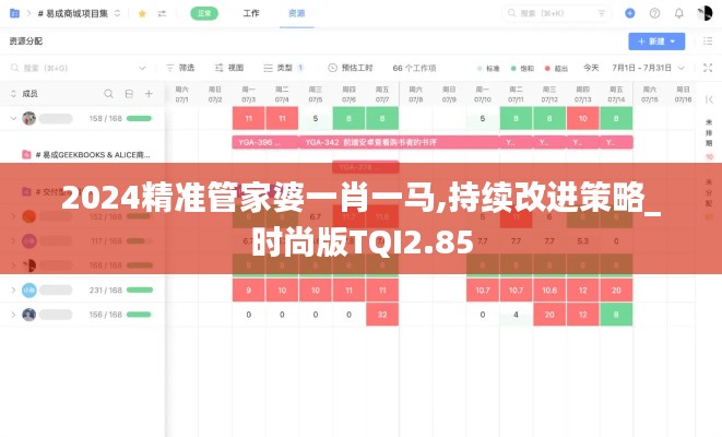 2024精準管家婆一肖一馬,持續改進策略_時尚版TQI2.85