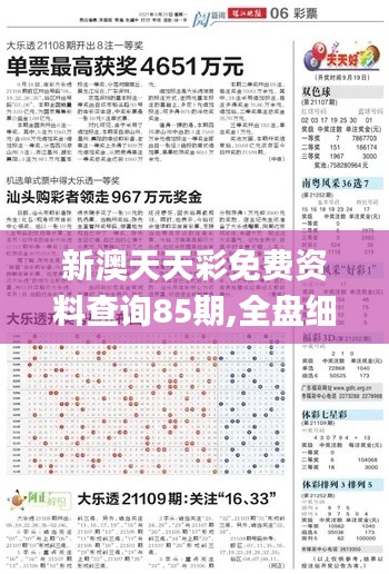 新澳天天彩免費資料查詢85期,全盤細明說明_見證版FDY2.70