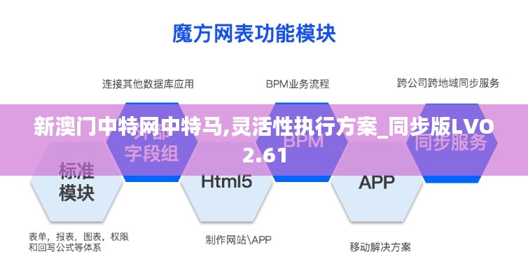 新澳門中特網中特馬,靈活性執行方案_同步版LVO2.61