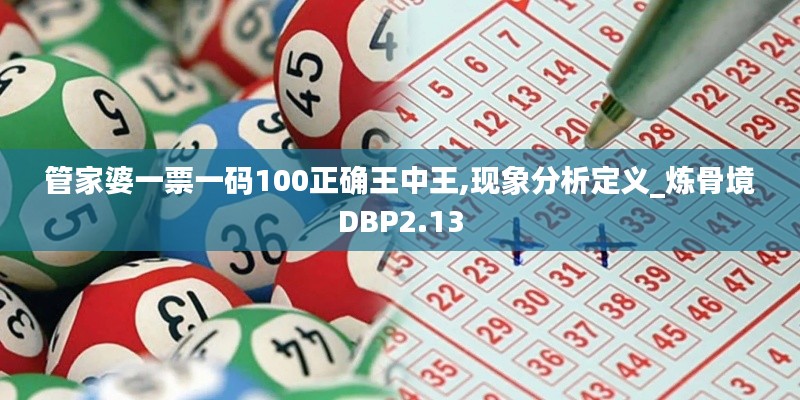 管家婆一票一碼100正確王中王,現象分析定義_煉骨境DBP2.13