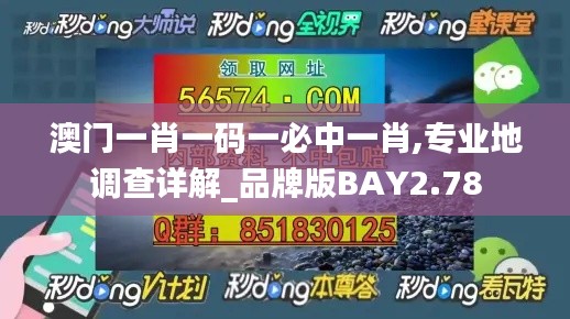 澳門一肖一碼一必中一肖,專業地調查詳解_品牌版BAY2.78