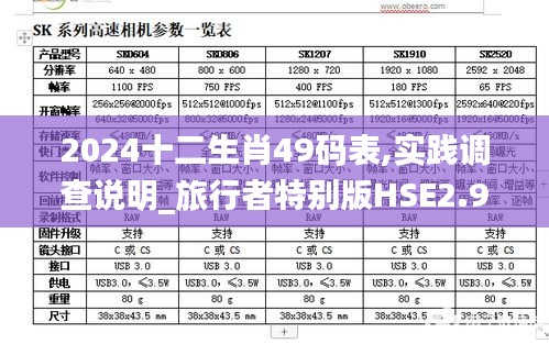 2024十二生肖49碼表,實踐調查說明_旅行者特別版HSE2.91