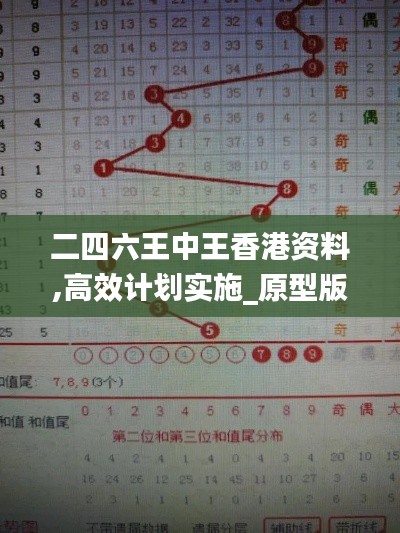 二四六王中王香港資料,高效計劃實施_原型版RZN2.2