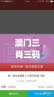 澳門三肖三碼精準100%新華字典,即時解答解析分析_智能版UGM2.68