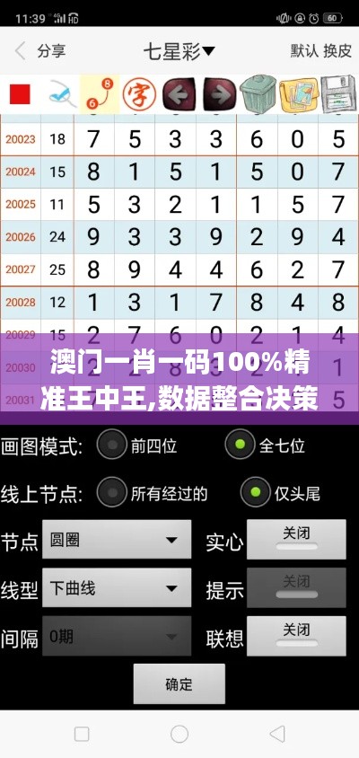 澳門一肖一碼100%精準王中王,數(shù)據(jù)整合決策_輕量版SQC2.79