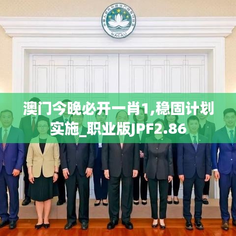 澳門今晚必開一肖1,穩固計劃實施_職業版JPF2.86