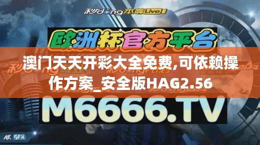 澳門天天開彩大全免費,可依賴操作方案_安全版HAG2.56