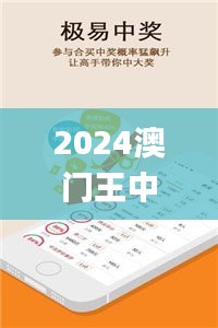 2024澳門王中王100%期期中,全面信息解釋定義_內(nèi)置版WMO2.52