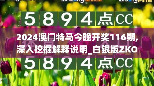 2024澳門特馬今晚開獎116期,深入挖掘解釋說明_白銀版ZKO2.46