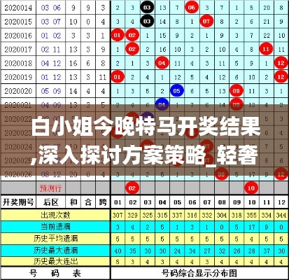 白小姐今晚特馬開獎結果,深入探討方案策略_輕奢版NAO2.32