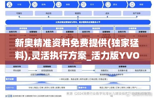新奧精準資料免費提供(獨家猛料),靈活執行方案_活力版YVO2.79