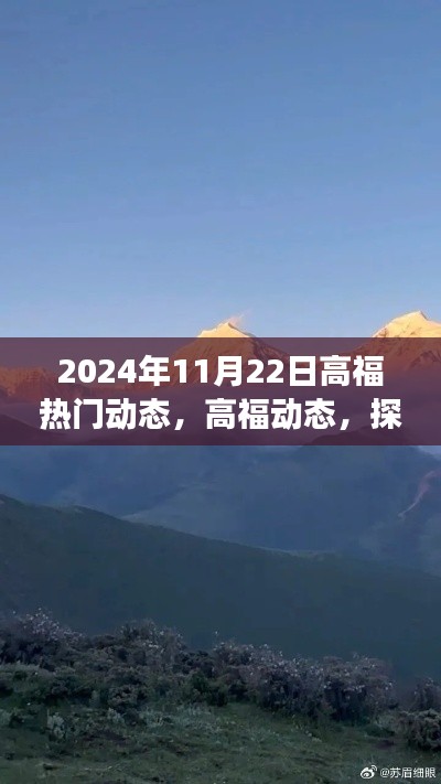 探索自然美景之旅，高福動態啟程尋找內心寧靜的啟示，2024年11月22日熱門動態回顧