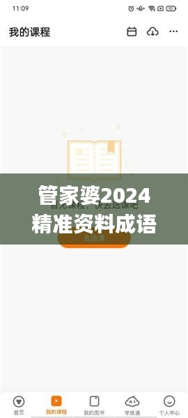 管家婆2024精準資料成語平特,數據指導策略規劃_跨界版VCT2.27