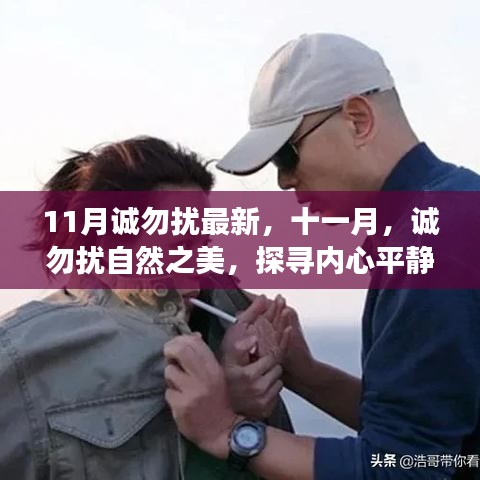 十一月自然之美探尋之旅，誠勿擾的內心平靜奇妙之旅