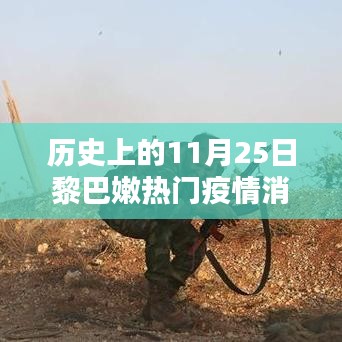 黎巴嫩疫情深度解析，歷史上的11月25日疫情消息回顧