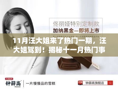 揭秘十一月熱門事件背后的故事，汪大姐駕到！