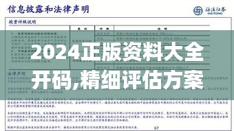 2024正版資料大全開碼,精細評估方案_風尚版TDO9.84