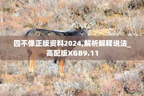 四不像正版資料2024,解析解釋說法_高配版XGB9.11