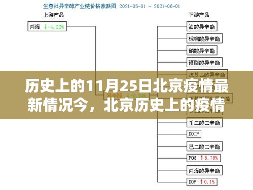 北京疫情回顧，聚焦歷史上的11月25日疫情最新情況