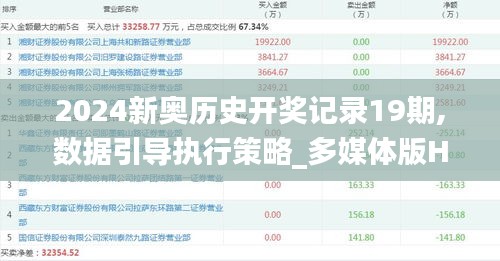 2024新奧歷史開獎記錄19期,數據引導執行策略_多媒體版HKZ9.82